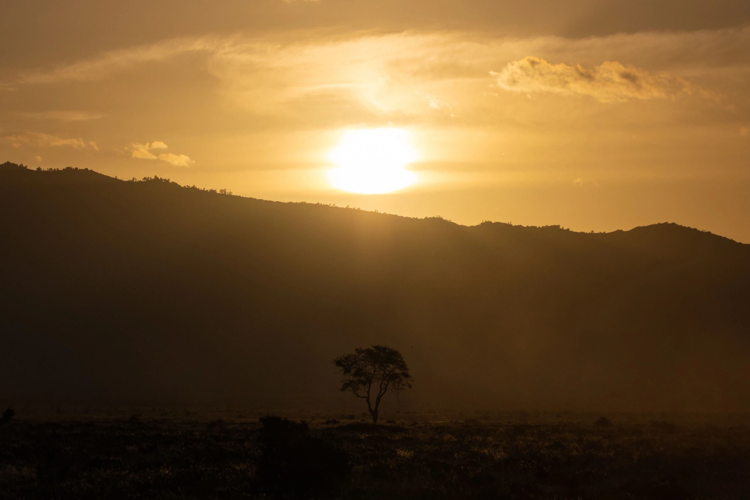 Featured image for the Tanzania mission report